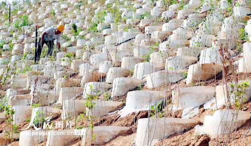 河北井陉 矿山修复治理 改善生态环境