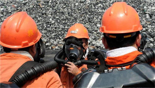 中心镇白马河边湿地