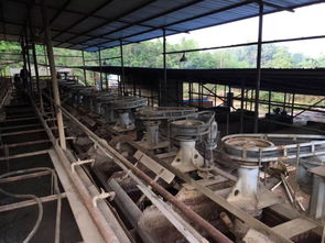 想,都是问题 做,才是答案